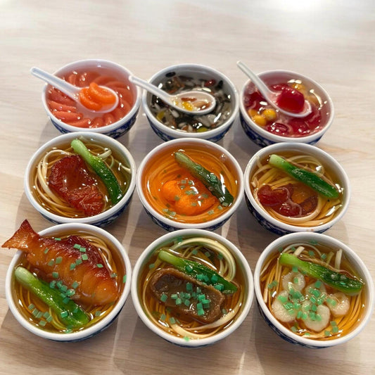 Asian Food Bowl Coverminder / Dinner Plate / Diamond Painting Putty / Diamond Art Putty / Arts and Crafts / Needle Minder / Magnets