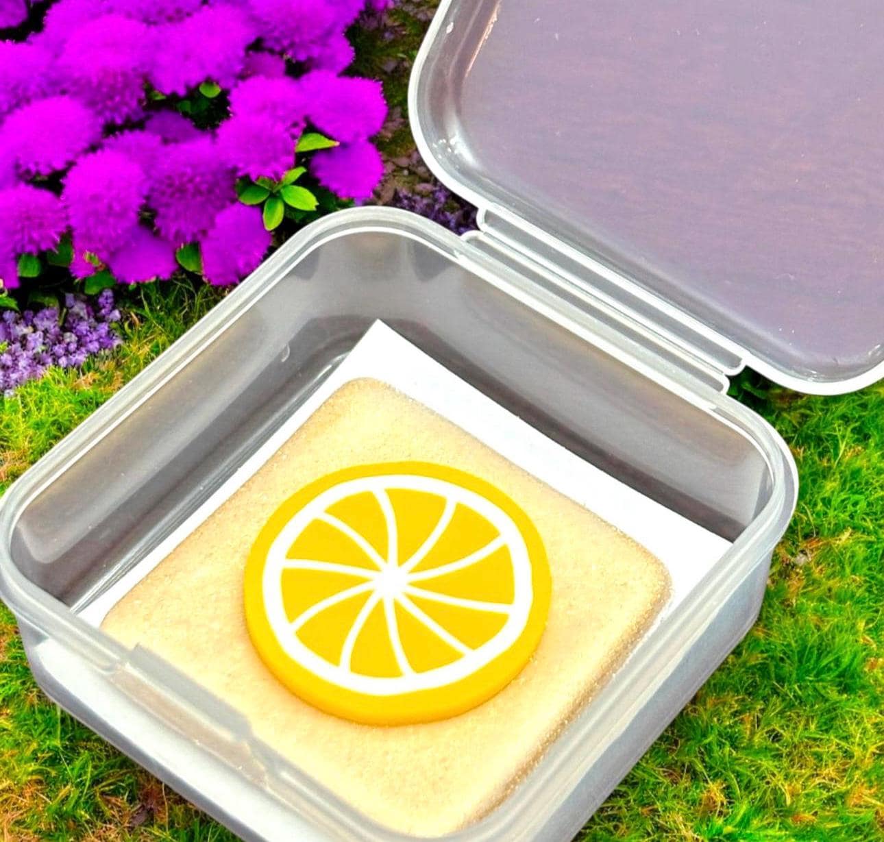 Bento box with a slice of lemon on a piece of bread against a natural background